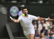 开云官网-戴维斯杯力克法网，德约科维奇高光表现的简单介绍