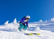 开云官网-赛道与球场，双重舞台上的封锁艺术