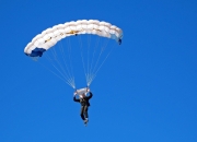 开云体育app-当紫金军团遭遇东北虎，福克斯的杀伤艺术如何改写对决剧本