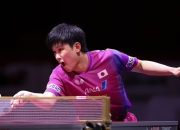 开云体育入口-包含波兰乒乓球队完胜比利时乒乓球队，张本智和高光表现的词条