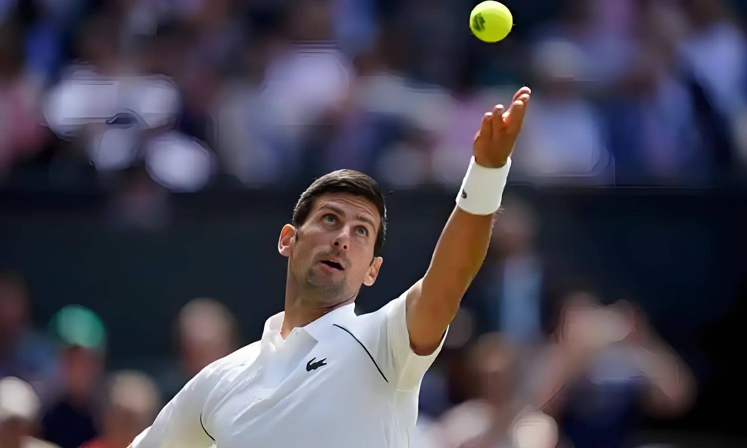 包含美国网球队横扫日本网球队,德约科维奇关键制胜的词条 包含美国网球队横扫日本网球队,德约科维奇关键制胜的词条