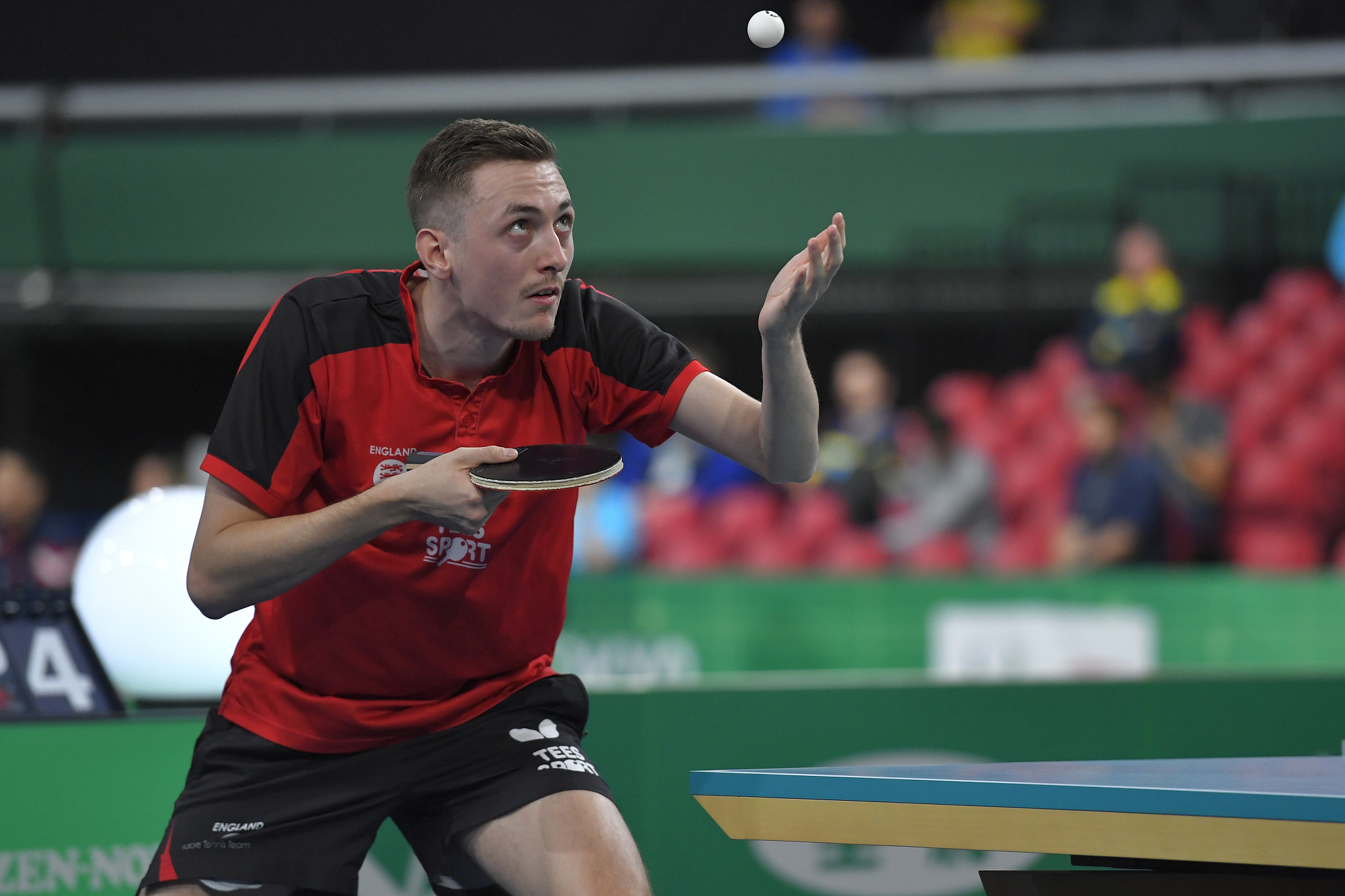 日本乒乓球队力克奥地利乒乓球队,波尔制霸全场 日本乒乓球队力克奥地利乒乓球队,波尔制霸全场