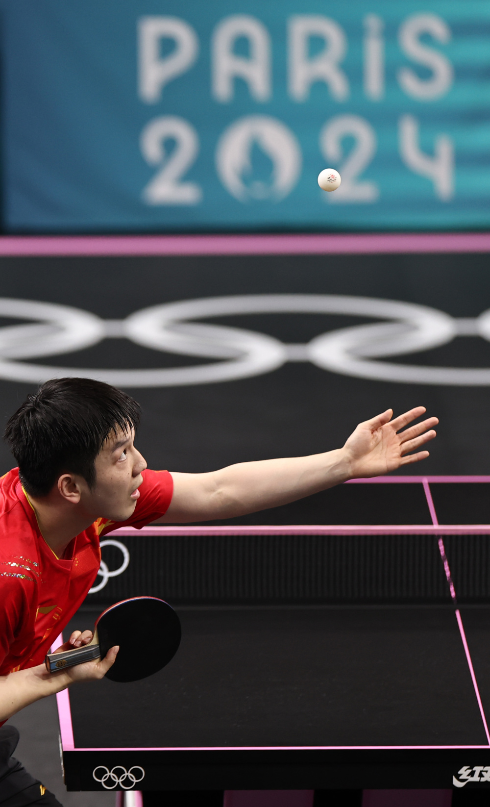 波兰乒乓球队逆转法国乒乓球队，樊振东高光表现的简单介绍