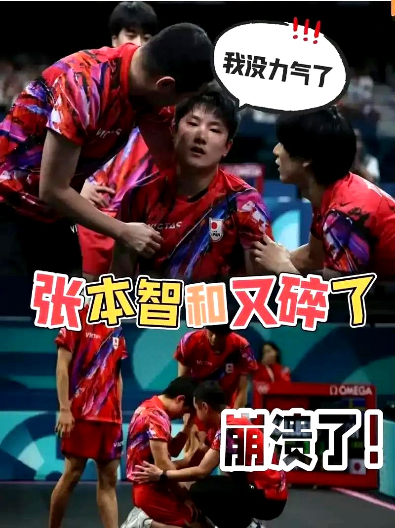 波兰乒乓球队绝杀中国乒乓球队,张本智和制霸全场 波兰乒乓球队绝杀中国乒乓球队,张本智和制霸全场