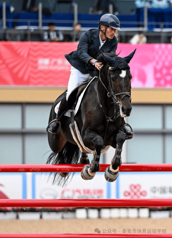 顽强拼搏：马术选手斩获第一的简单介绍